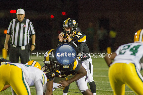 IMG_0353